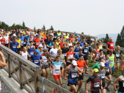 Jesenický maraton 2018. Autor: Ilona Vincíková