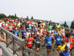 Jesenický maraton 2018. Autor: Ilona Vincíková