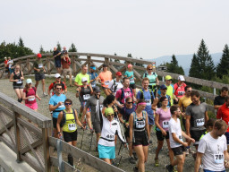 Jesenický maraton 2018. Autor: Ilona Vincíková